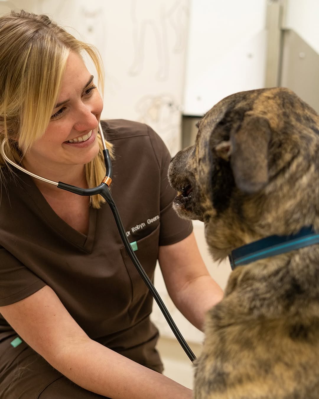 Dr. Robyn Geers
